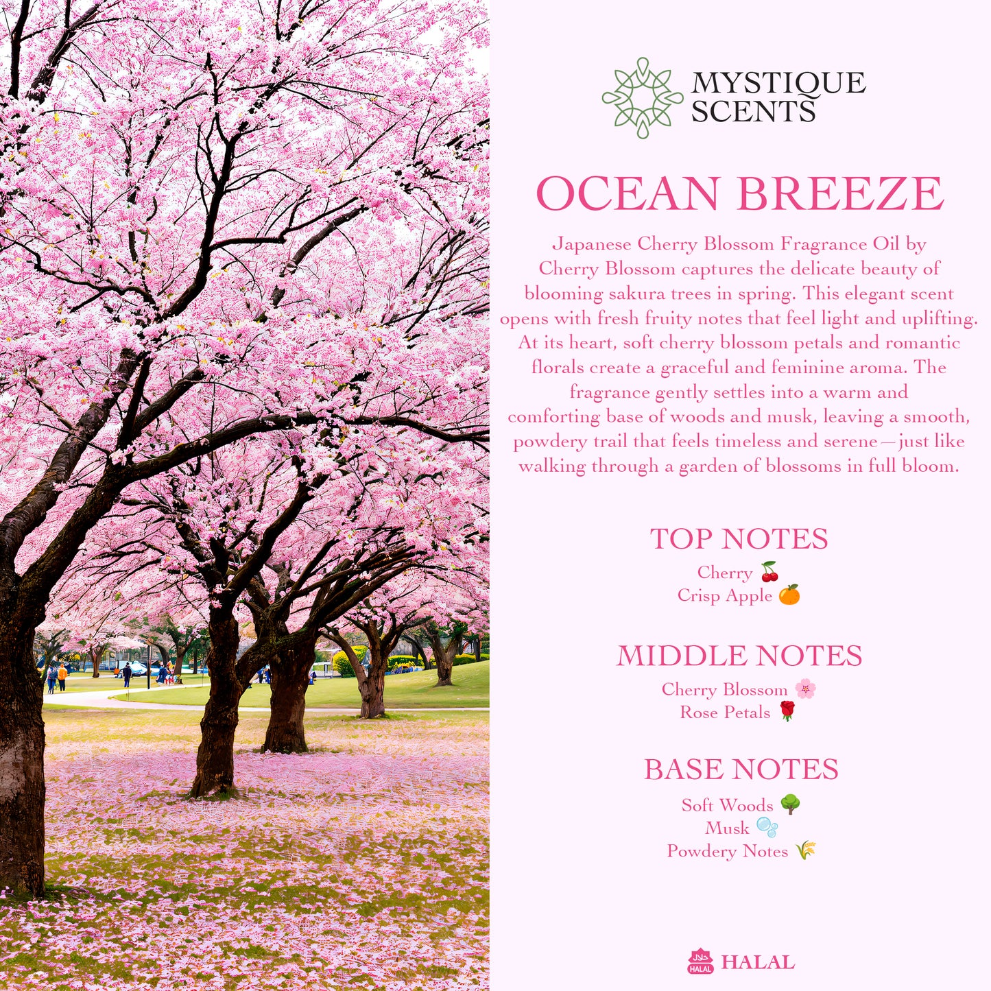 CHERRY BLOSSOM