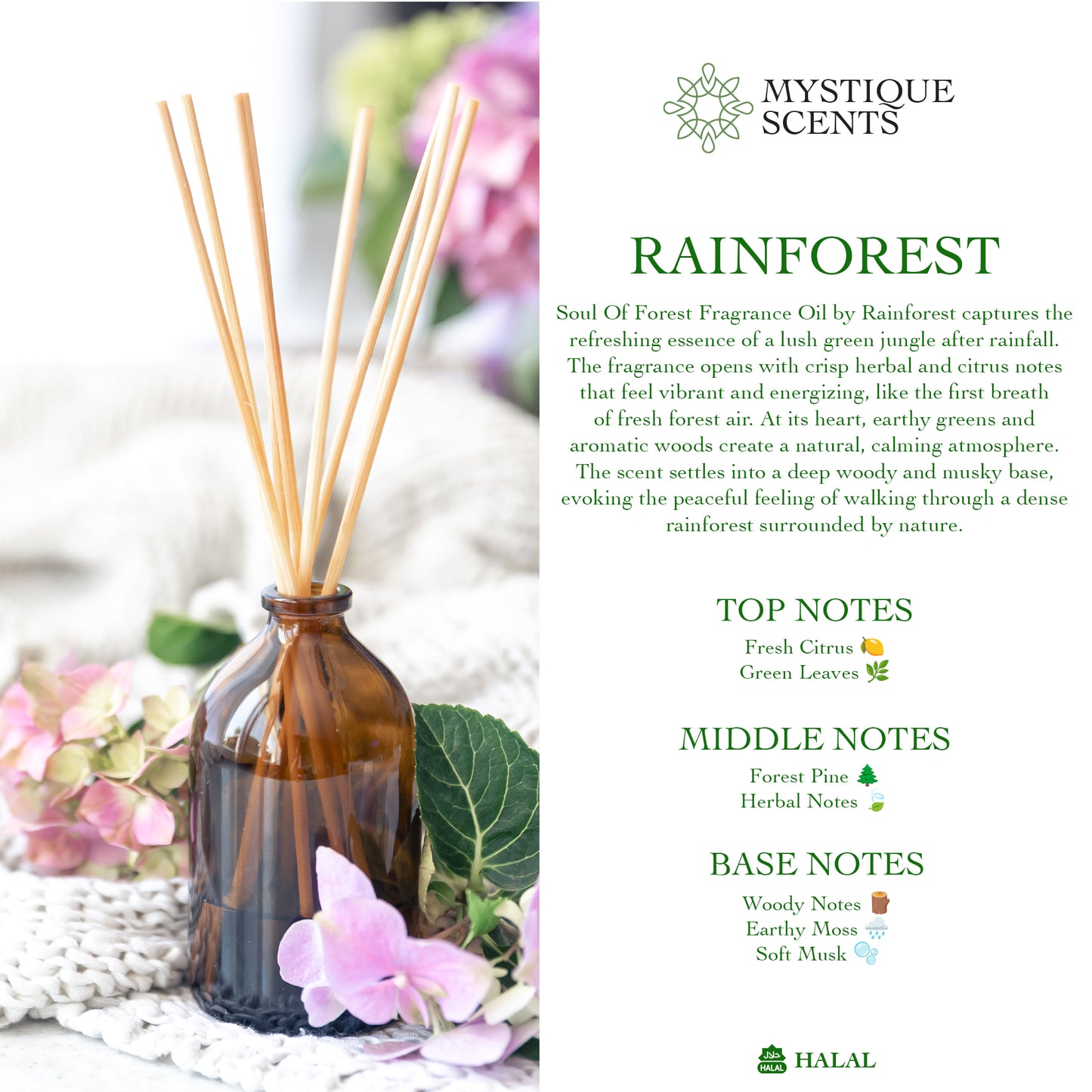 RAINFOREST